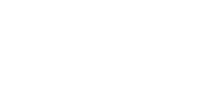 Rebel Robotics